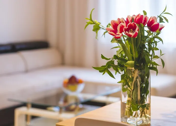 Ibar & Garage 普罗夫迪夫